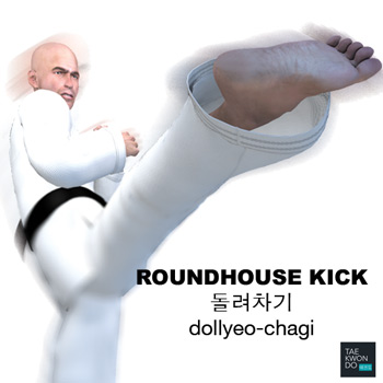 Roundhouse Kick ( 돌려차기 dollyeo-chagi )