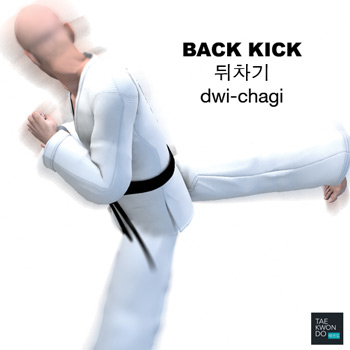 Back Kick ( 뒤차기 dwi-chagi )