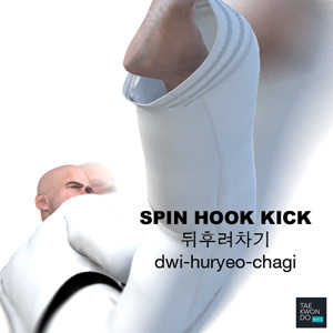 Spin Hook Kick ( 뒤후려차기 dwi-huryeo-chagi )