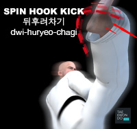 Spin Hook Kick ( 뒤후려차기 dwi-huryeo-chagi )