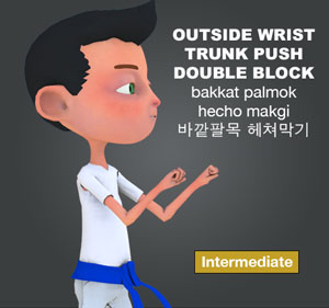 Outside Wrist Double Block ( 바깥팔목 헤쳐막기 bakkat-palmok-hecho-makgi )