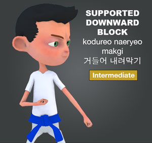 Supported Downward Block (kodureo naeryeo makgi)