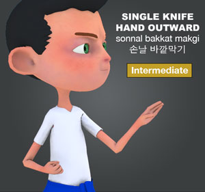 Single Knife Hand Block ( 한손날 바깥막기 hansonnal-bakkat-makgi )