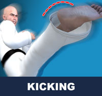 Kicks ( 차기 chagi ) | As the human leg is longer and stronger than the arm, kicks are generally used to keep an opponent at a distance, surprise him or her with their range, and inflict substantial damage