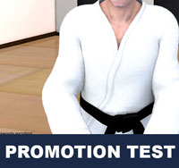 Taekwondo Promotion Test
