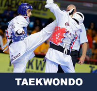 Taekwondo is known for its emphasis on high kicking and fast hand techniques, which distinguishes it from other popular martial arts and combat sports such as karate