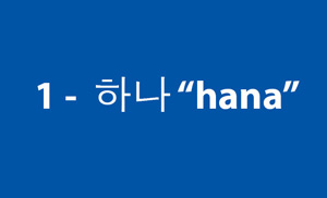 Taekwondo 1 ( 하나 hana ) Korean Numbers Terminology