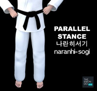 Parallel Stance ( 나란히서기 naranhi-sogi )