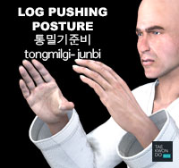 Log Pushing Posture ( 통밀기준비 tongmilgi-junbi )