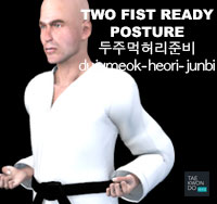 Two Fist Ready Stance ( 두주먹허리준비 dujumeok-heori-junbi )