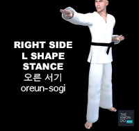 Right Side Stance ( 오른 서기 oreun-sogi )