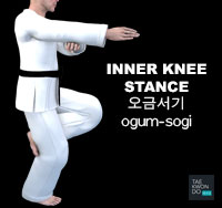 Inner Knee Stance ( 오금서기 ogum-sogi )