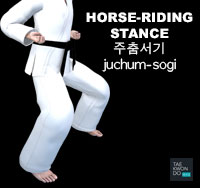 Horse Riding Stance ( 주춤서기 juchum-sogi )