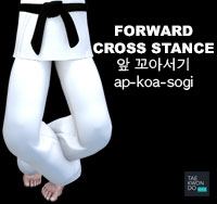 Forward Cross Stance ( 앞 꼬아서기 ap-koa-sogi )