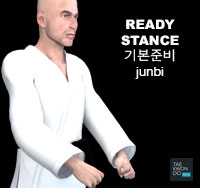 Ready Stance ( 기본준비 junbi )