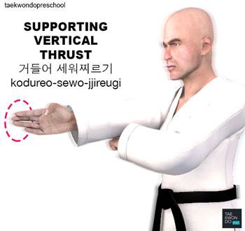 Supporting Vertical Thrust ( 거들어 세워찌르기 kodureo-sewo-jjireugi )