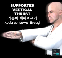Supported Vertical Thrust ( 거들어 세워찌르기 kodureo-sewo-jjireugi )