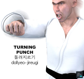 Turning Punch ( 돌려지르기 dollyeo-jireugi )