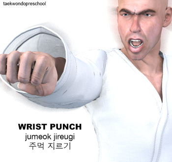 Fist Punch ( 주먹 지르기 jumeok-jireugi )