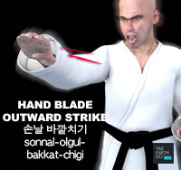 Hand Blade Outward Strike ( 손날 바깥치기 sonnal-olgul-bakkat-chigi )