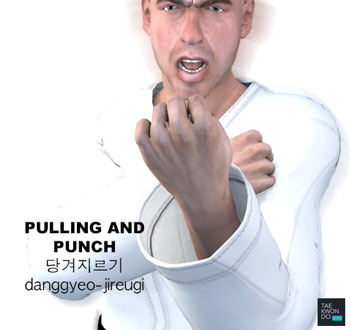 Pulling and Punching ( 당겨지르기 danggyeo-jireugi )