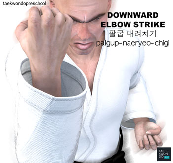 Elbow Downward Strike ( 팔굽 내려치기 palgup-naeryeo-chigi )