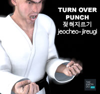 Turn Over Punch ( 젖혀지르기 jeocheo-jireugi )