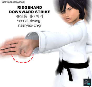 Ridgehand Downward Strike ( 손날등 내려치기 sonnal-deung-naeryeo-chigi )