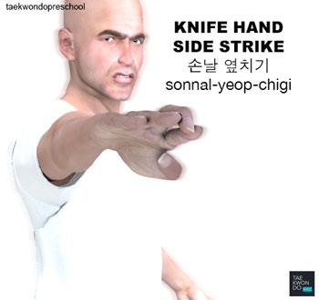 Hand Blade Side Strike ( 손날 옆치기 sonnal-yeop-chigi )