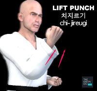 Lift Punch ( 치지르기 chi-jireugi )