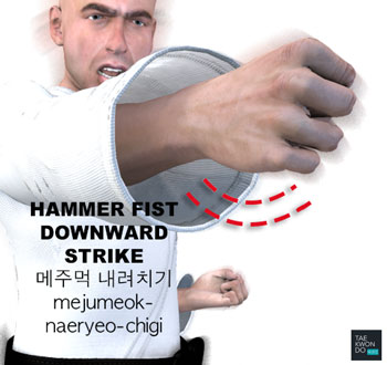 Hammer Fist Downward Strike ( 메주먹 내려치기 mejumeok-naeryeo-chigi )