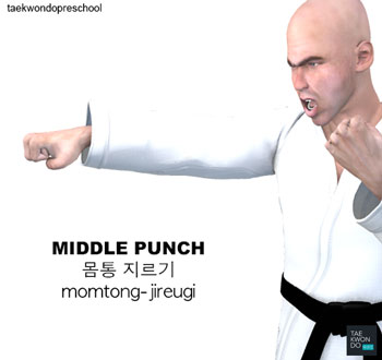 Middle Punch ( 몸통 지르기 momtong-jireugi )