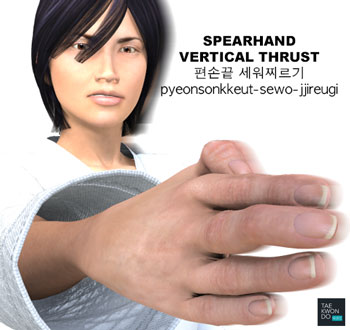 Spearhand Vertical Thrust ( 편손끝 세워찌르기 pyeonsonkkeut-sewo-jjireugi )
