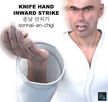 Knife Hand Inward Strike ( 손날 안치기 sonnal-an-chigi )