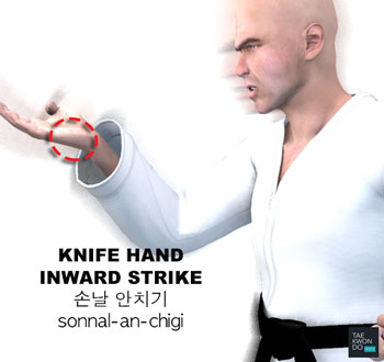 Knife Hand Inward Strike ( 손날 안치기 sonnal-an-chigi )