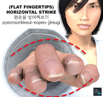 Flat Fingertips Horizontal Strike ( (편손끝) 엎어찌르기 (pyeonsonkkeut) eopeo-jjireugi )