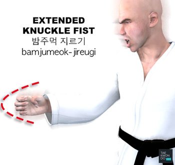 Extended Knuckle Fist ( 밤주먹 지르기 bamjumeok-jireugi )