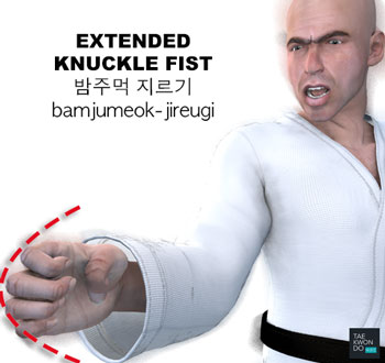 Extended Knuckle Fist ( 밤주먹 지르기 bamjumeok-jireugi )