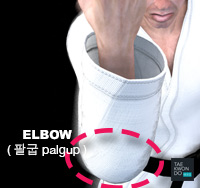 Elbow ( 팔굽 palgup )