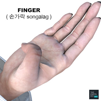 Finger ( 손가락 songalag )