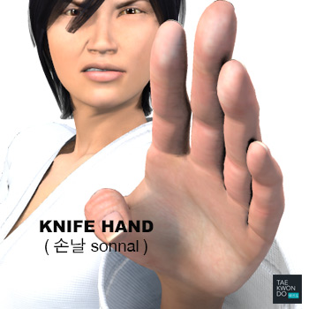 Knife Hand ( 손날 sonnal )