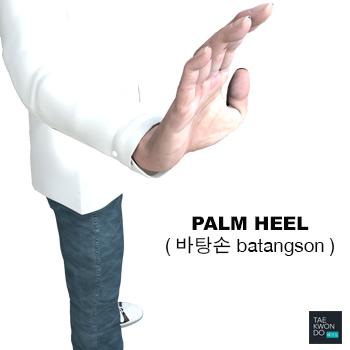 Palm Heel ( 바탕손 batangson )