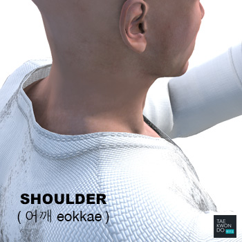 Shoulder ( 어깨 eokkae )