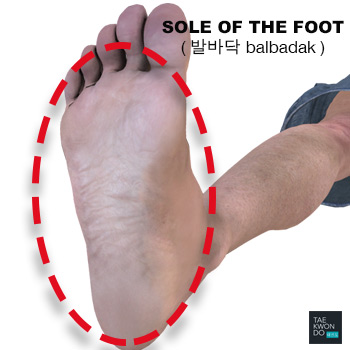 Sole of the Foot ( 발바닥 balbadak )
