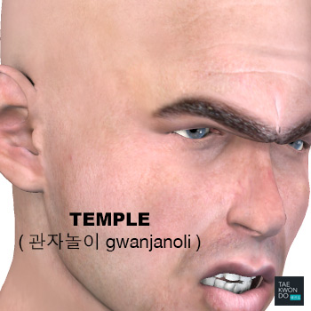 Temple ( 관자놀이 gwanjanoli )
