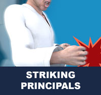 Taekwondo Striking Principals