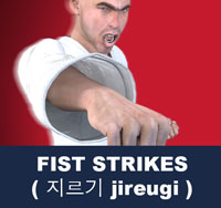 Fist Strikes ( 지르기 jireugi )