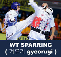 World Taekwondo (WT) Sparring ( 겨루기 gyeorugi )