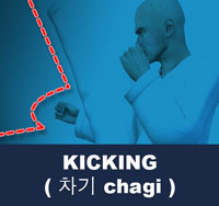 Kicks ( 차기 chagi )