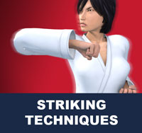 Taekwondo Strikes